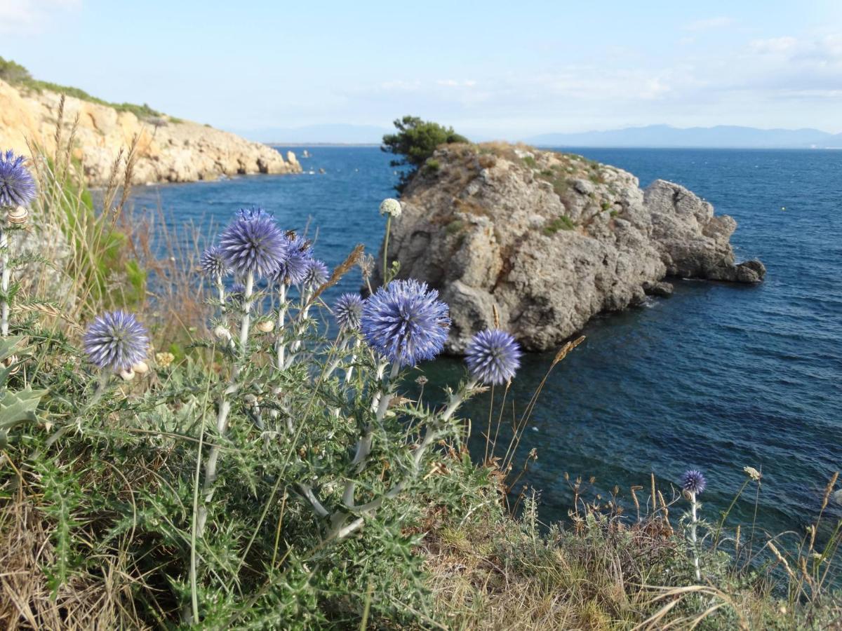 Apartamento Punta Montgo Port De Rei L' Escala Buitenkant foto